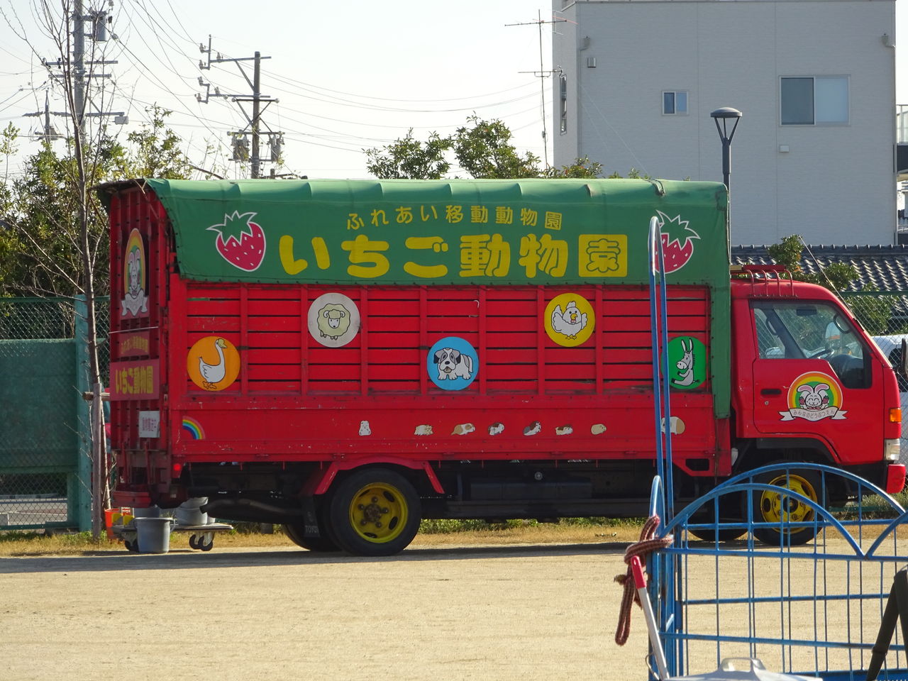 いちご動物園がやってきた Chita Gakuen いちご動物園がやってきた Chita Gakuen