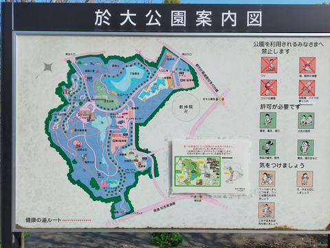 IMG20220409154221