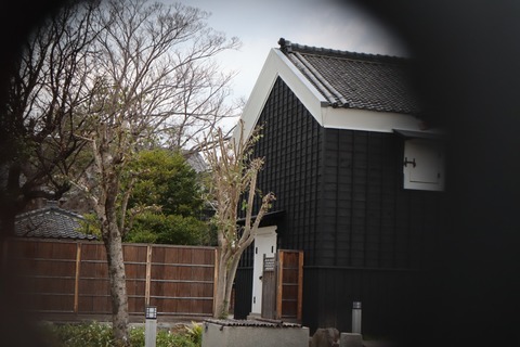 20190328131357_IMG_0823