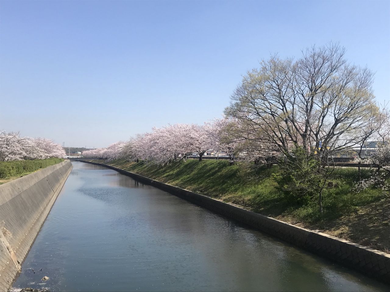 あや散歩 In 半田 春を探しに行こう まるごと知多娘 ブログ