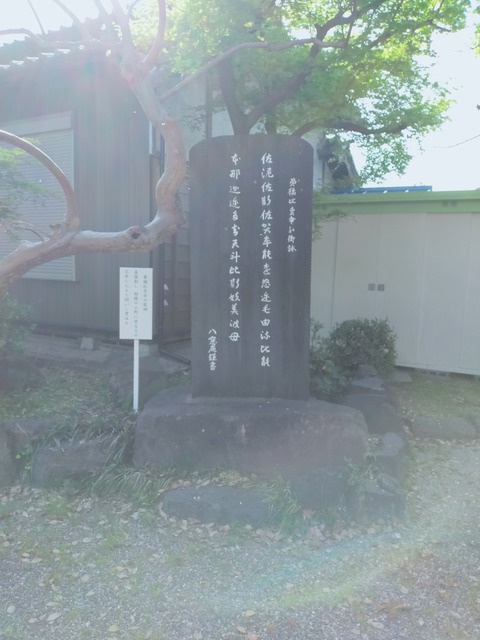 IMG20220409152432