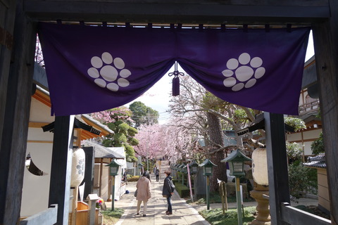 DSC01707
