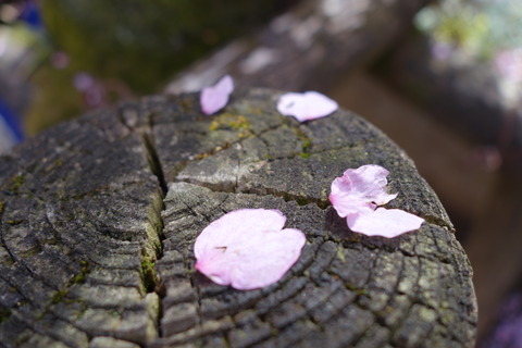 DSC01716