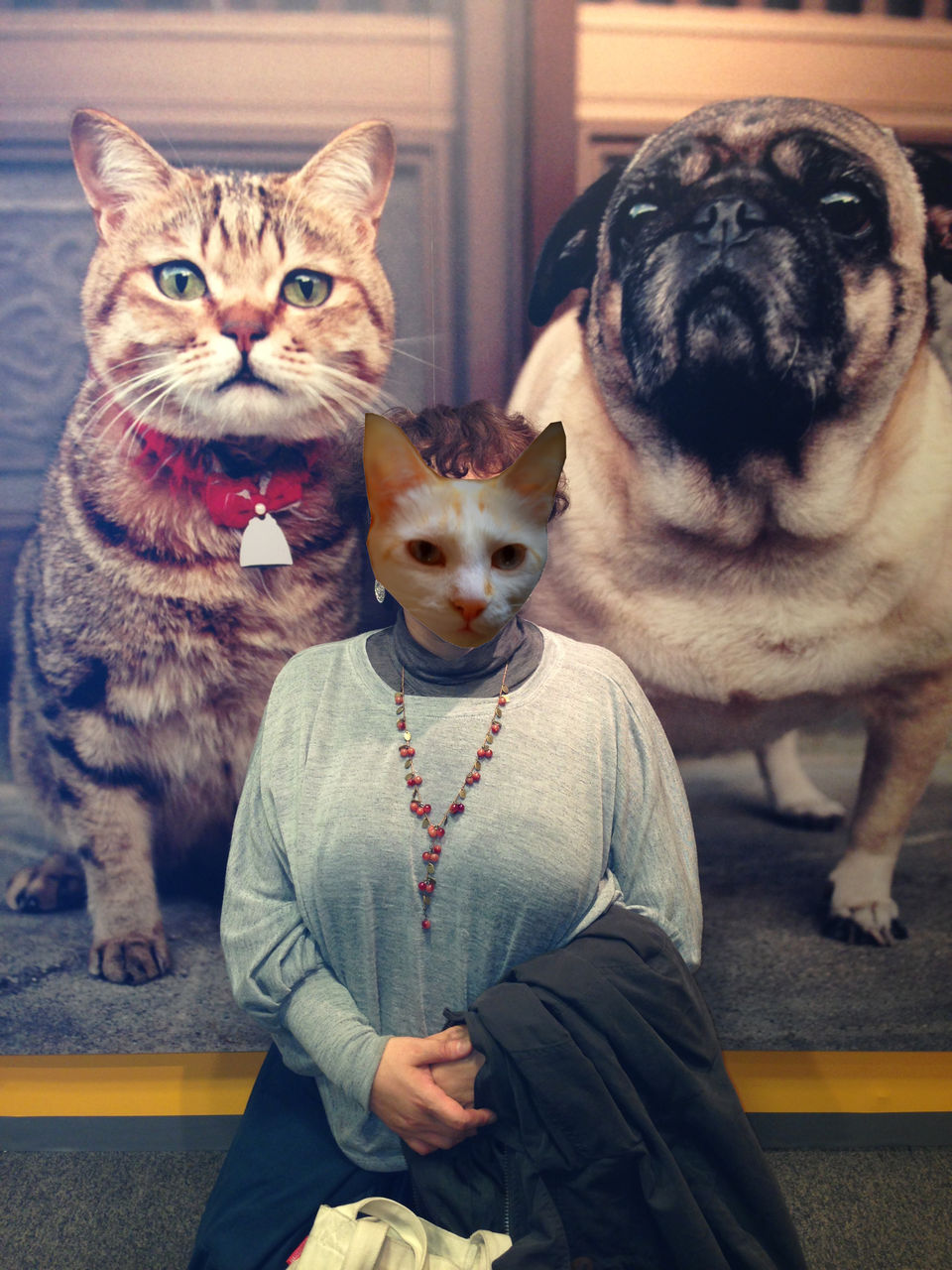 30ｋｇダイエット 今までした事 自転車で楽しい毎日 O O