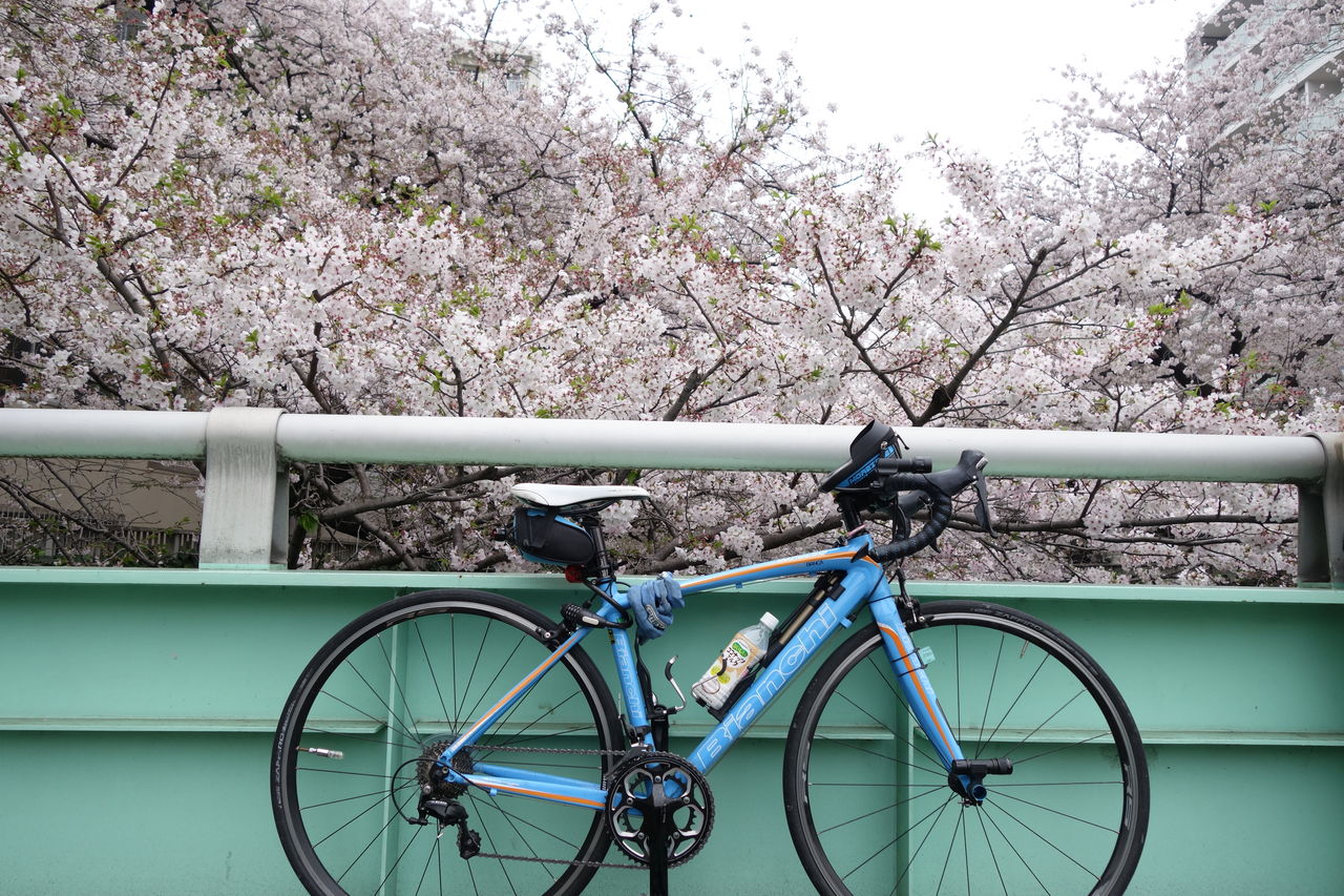 新宿 御苑 自転車