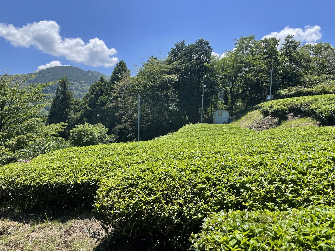 山好きおやじのblog