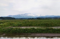 月山