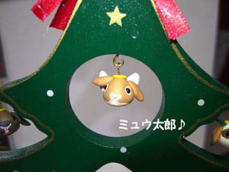 ミュウ太郎天使!