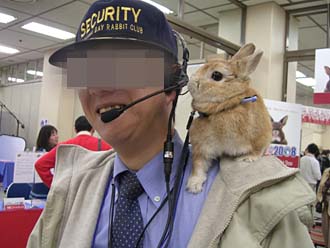 警備うさちゃん
