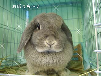 おぼっち〜〜〜!