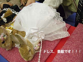 すごいドレス!!!