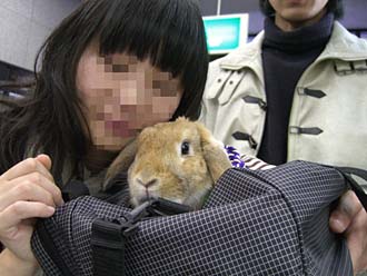 兄タンとw