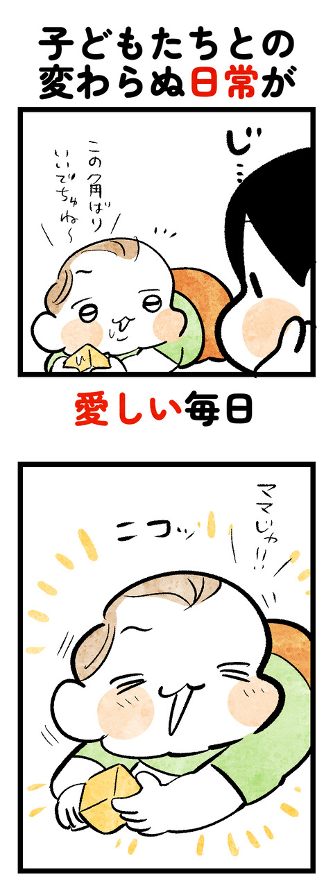 まめちゃん1歳1