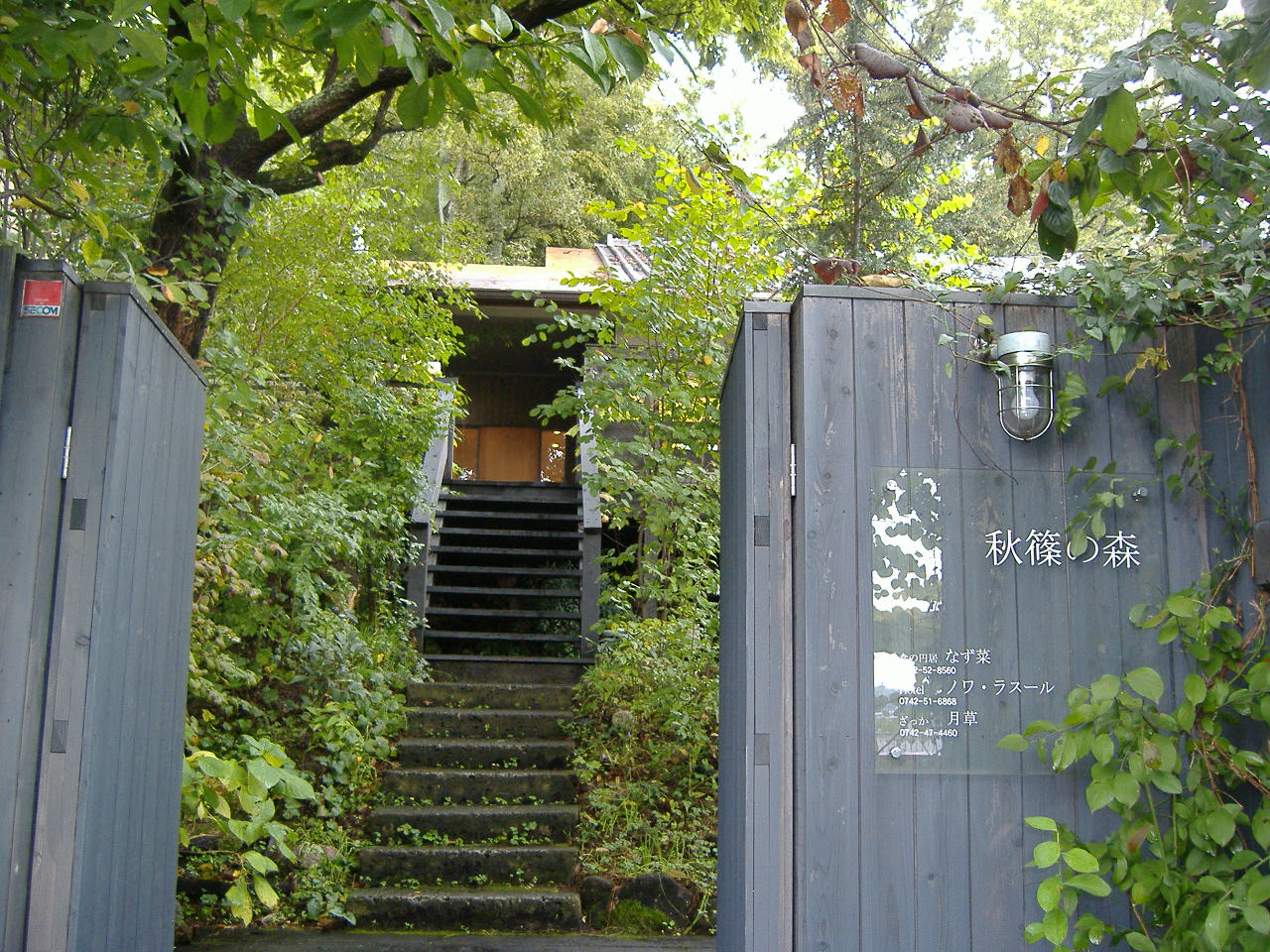 奈良 くるみの木 備後 福山市 ちょっぴりいなか暮らし