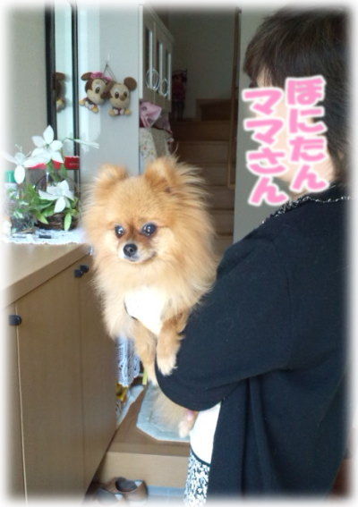 玄関にて…ママさんとぼにたん