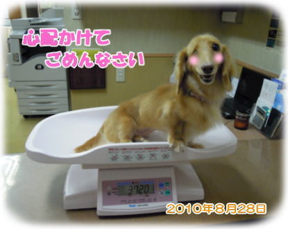 体重3.72㎏♪