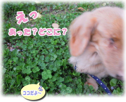 ここだよ~