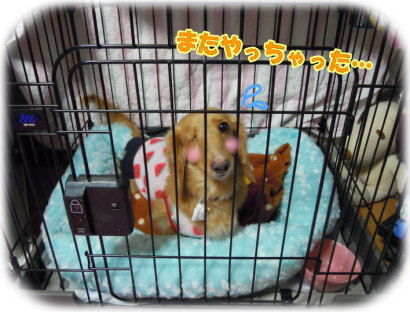 実刑判決。
