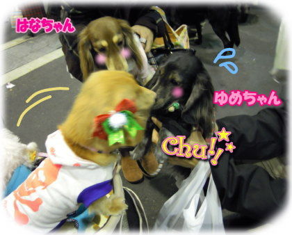 はなちゃん&ゆめちゃん、はじめまして!