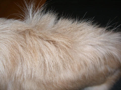 2c0b3407.jpg