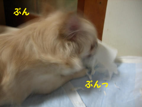 2deb3311.jpg