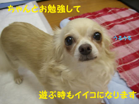 3274b7b6.jpg