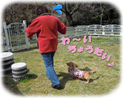 勘違いストーカーちゃん・・・
