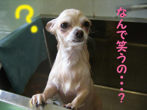 48c99309.jpg