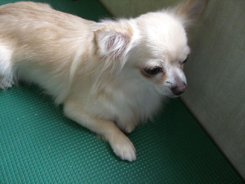 4e3c6507.jpg