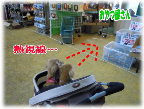 似たもの親仔…