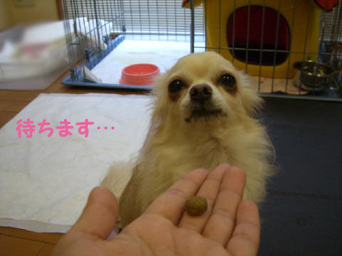 56845fa0.jpg