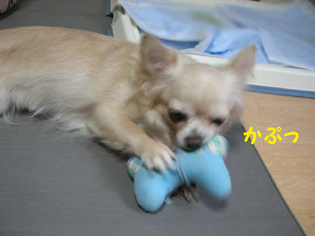 6934250e.jpg