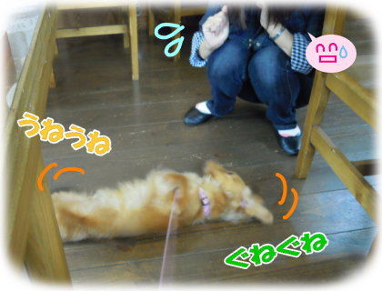 さわってさわって~♪