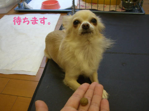 71a58190.jpg