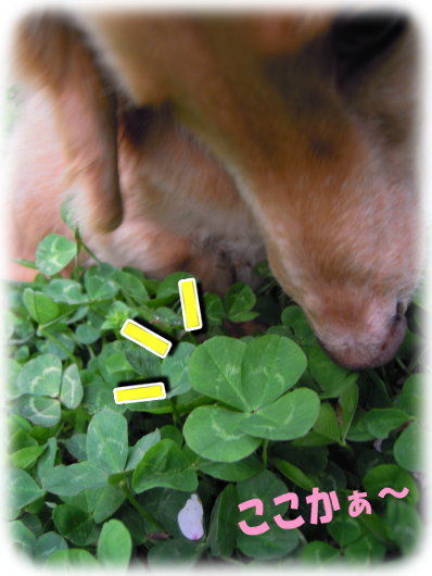 やっと視界に・・・