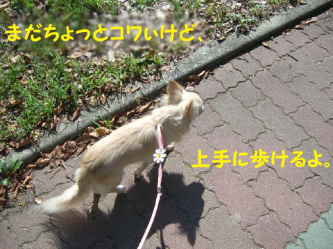 81cfa1a1.jpg