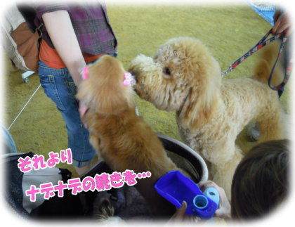 ヒト>犬の図。