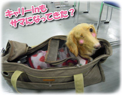 ②-2