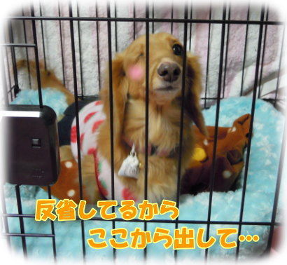 この通り…