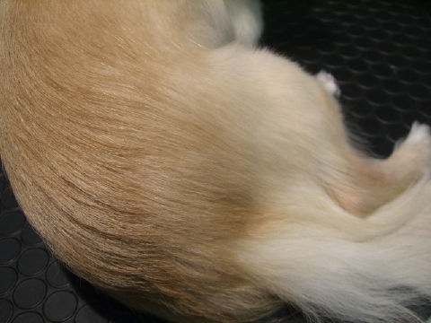 9780886e.jpg