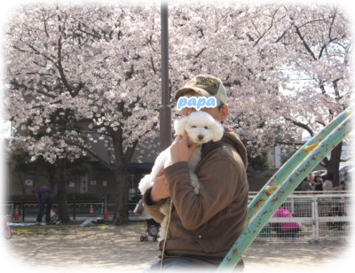 頂いた画像
