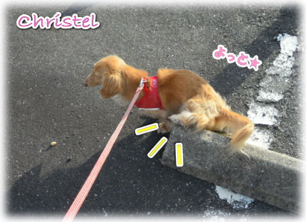 クリちゃん・足上げちっこスタイル