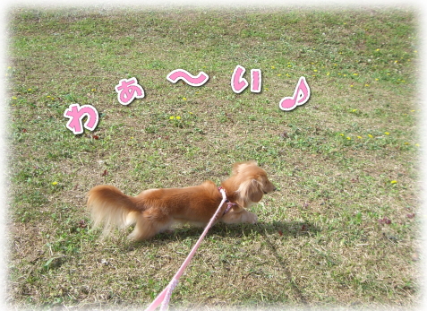 a108153a.jpg