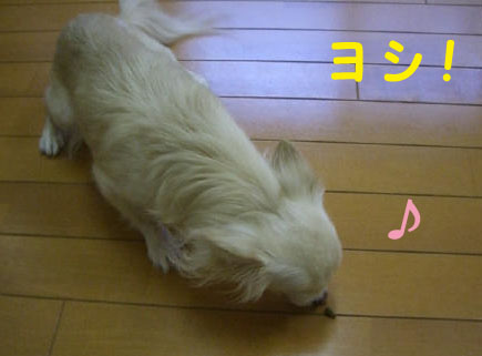 a5d0710c.jpg