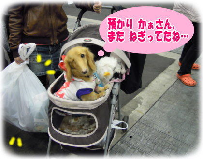 戦利品GETで任務完了!