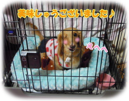 本心はきっと…