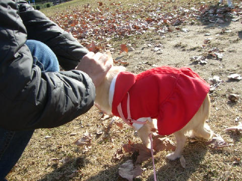c3c43111.jpg