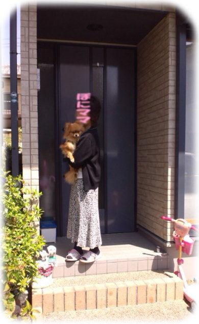 玄関先のママさんとぼにたん