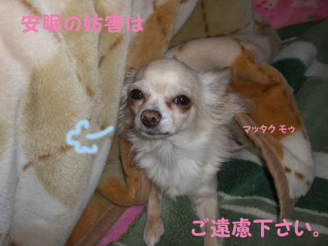cf314cb2.jpg