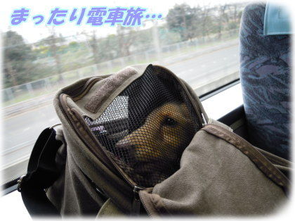 京阪乗る人、おけいはん。